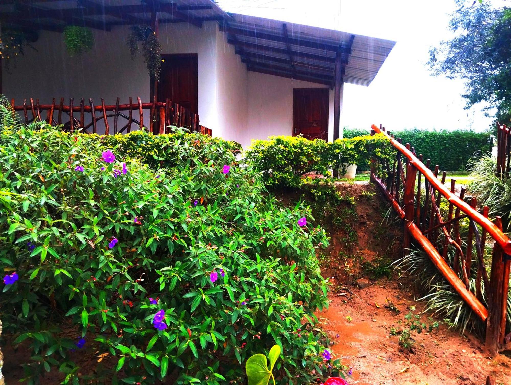 Ella Hotel Upper Hill 外观 照片