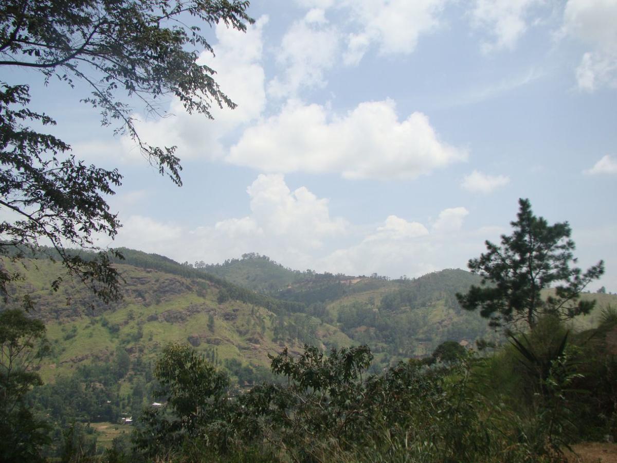 Ella Hotel Upper Hill 外观 照片