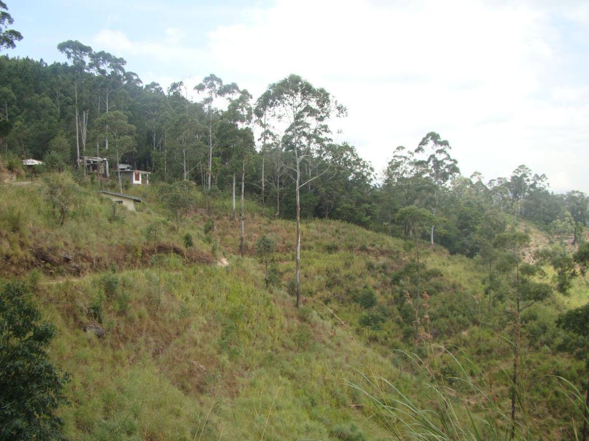 Ella Hotel Upper Hill 外观 照片