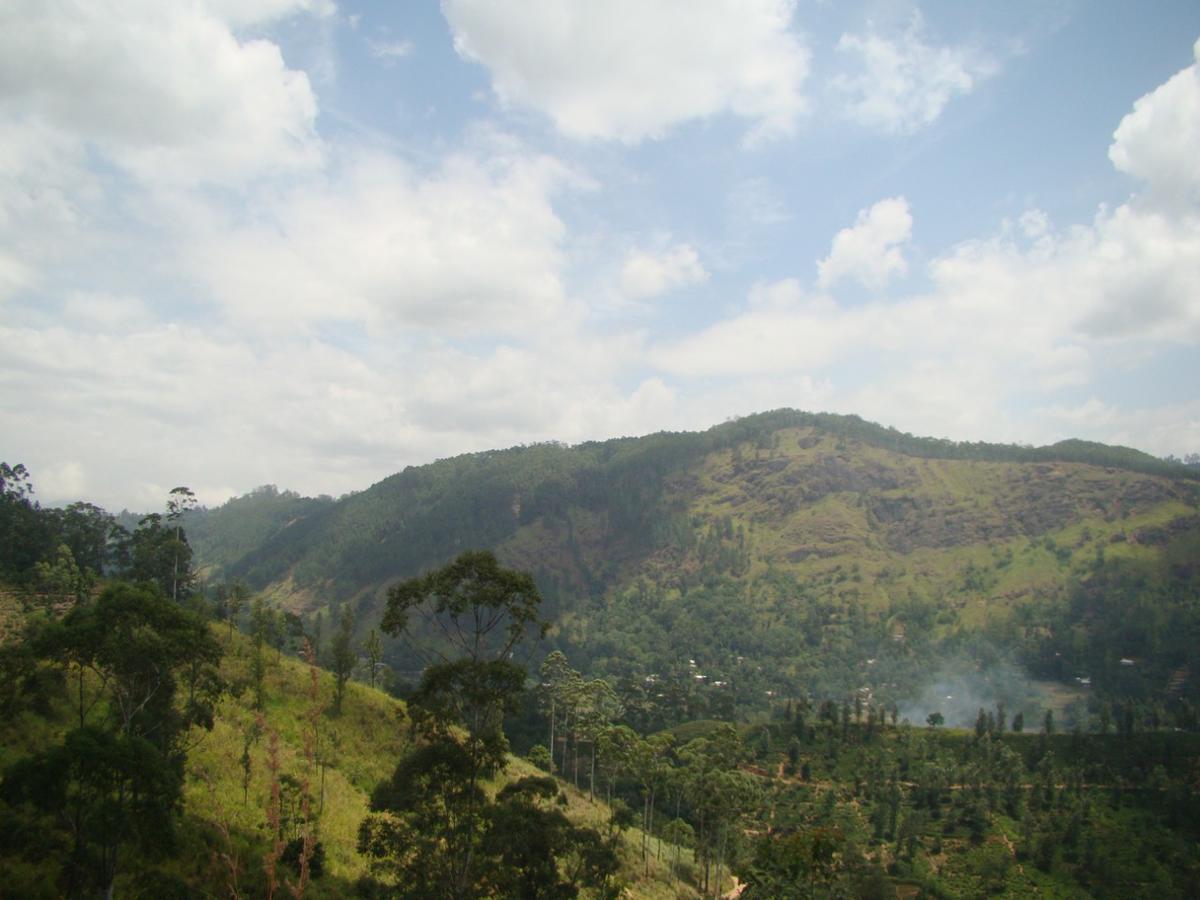 Ella Hotel Upper Hill 外观 照片