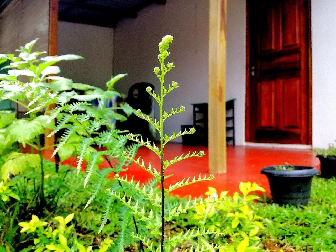 Ella Hotel Upper Hill 外观 照片